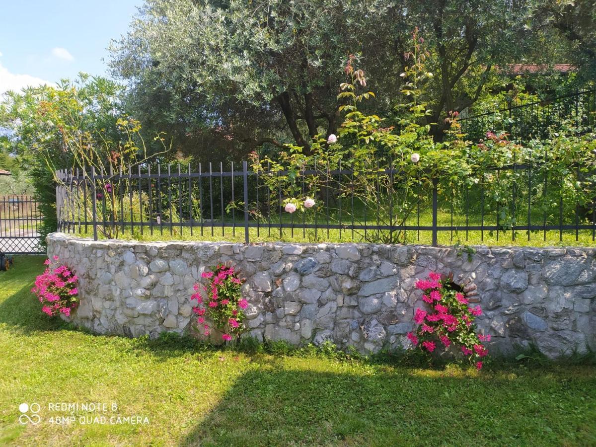 Mary Rose Apartments Oliveto Lario Exteriér fotografie