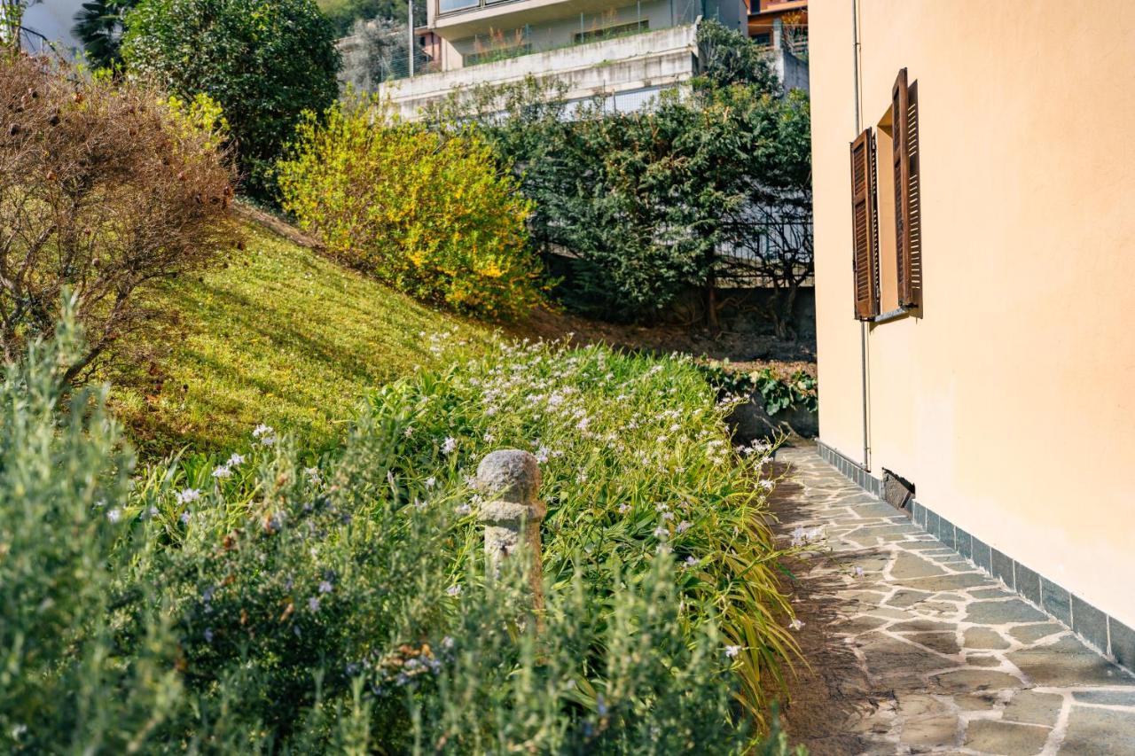 Mary Rose Apartments Oliveto Lario Exteriér fotografie